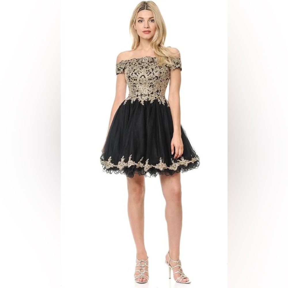NWT Lenovia Off the shoulder Appliqué Tulle Dress